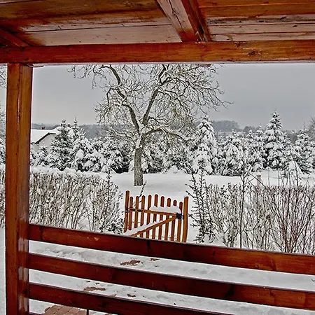 Csavargo Tanya Szalafo